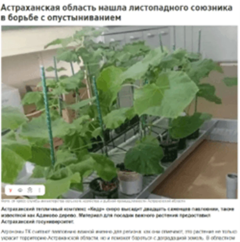 12.05.2026
Астраханская область нашла листопадного союзника в борьбе с опустыниванием